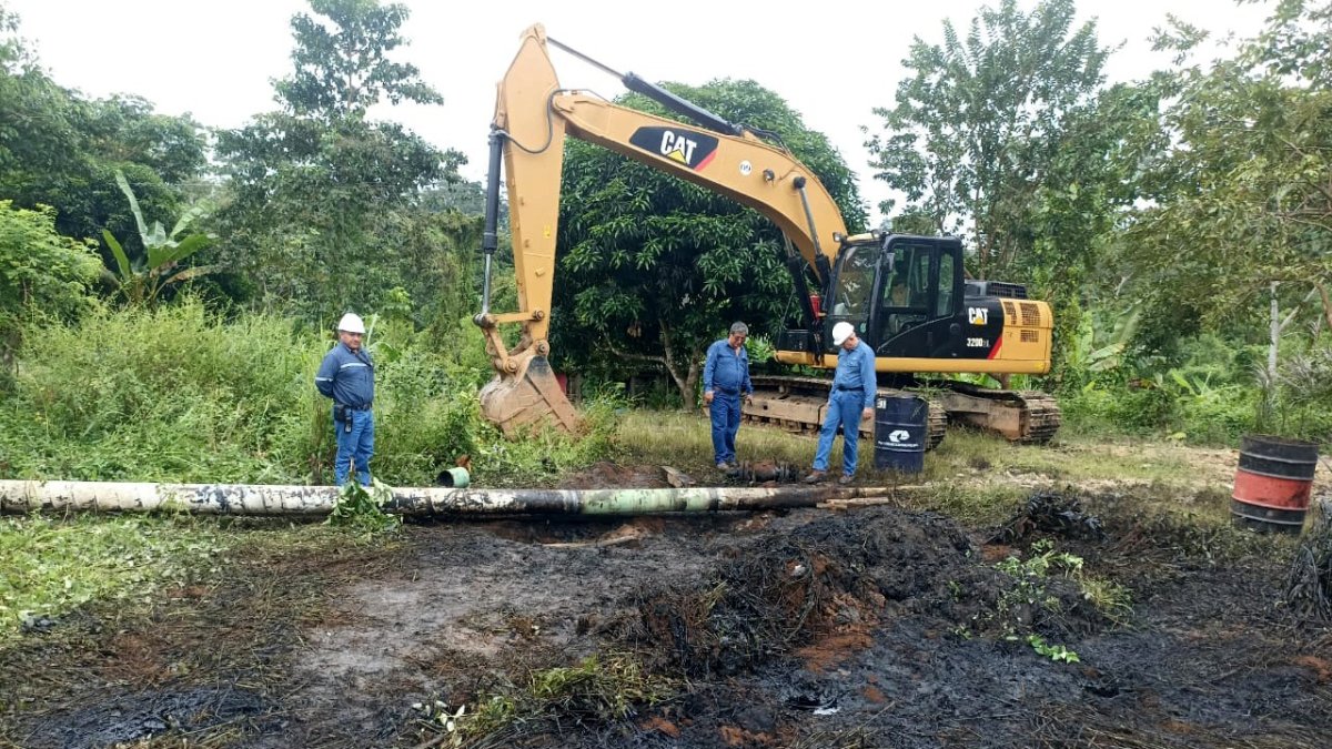 Personal de Petroecuador hace trabajo de limpieza del petróleo que se derramó en la provincia de Orellana.