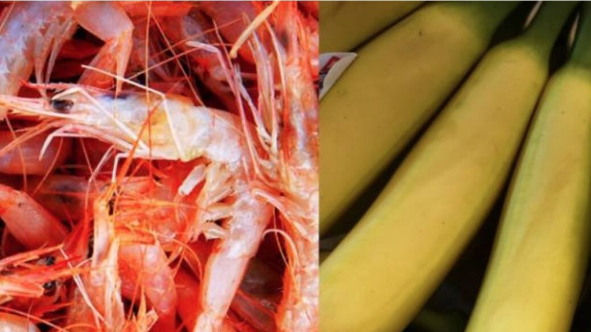 Los camarones y bananos que son productos estrellas de las exportaciones de Ecuador.