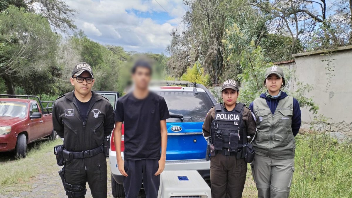 Un ciudadano fue aprehendido por presunta implicación en este delito ambiental; el espécimen rescatado recibe atención especializada.
