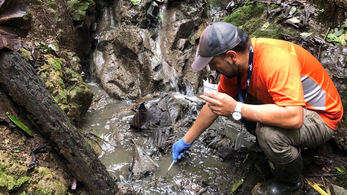 Investigación. La Universidad de Las Américas culminó el proyecto de investagación de microalgas que reducen compuestos contaminantes.