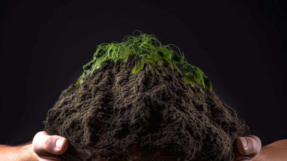 Compostar es una de las acciones que se promueve para el cuidado del planeta.