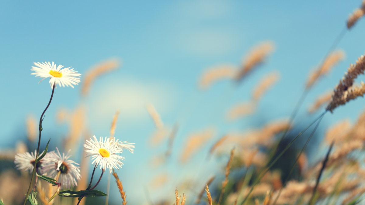 ¿Cuándo llega el verano a Guayaquil?