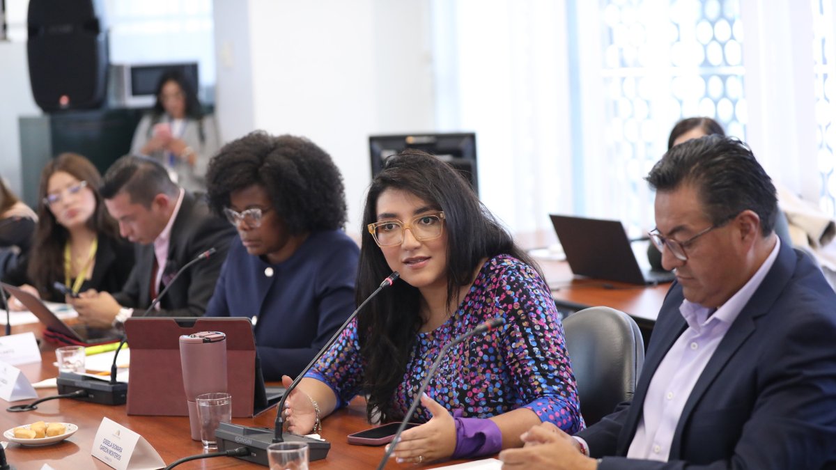 La asambleísta del correísmo Gissela Garzón preside la comisión ocasional.