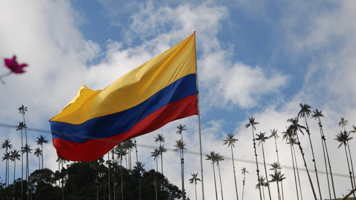 Autoridades colombianas exigen carné de vacunación contra la fiebre amarilla a viajeros por riesgo de contagio.