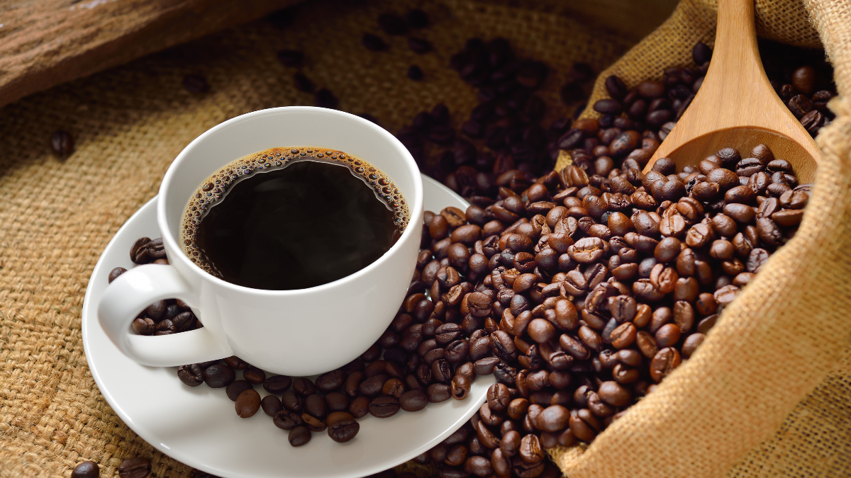 Descubre los mejores cafés del mundo