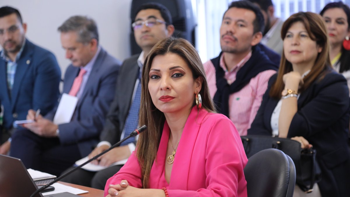 La jueza y presidenta del Tribunal Contencioso Electoral, Ivonne Coloma.