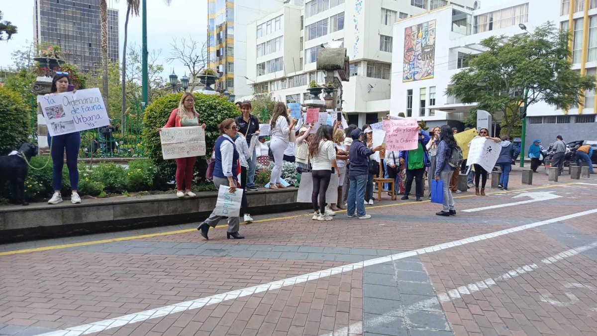 El parque Montalvo fue la sede de protestas.