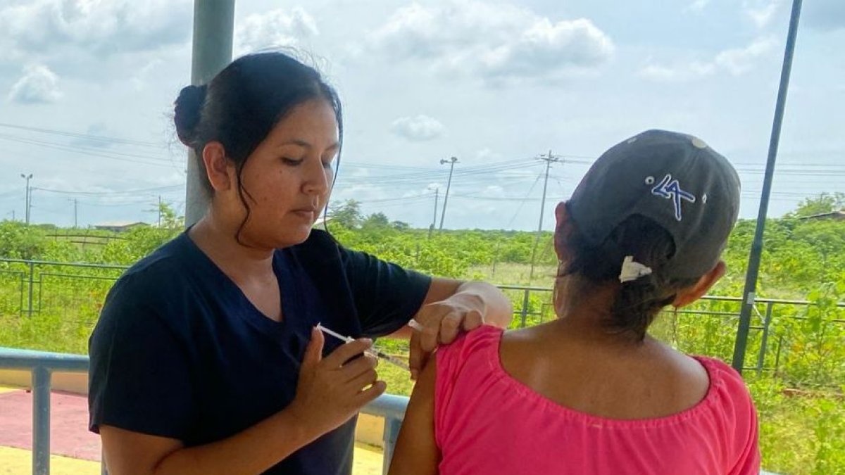 En Ecuador se intensifica la vacunación contra la fiebre amarilla que reporta ya varios casos en Colombia.