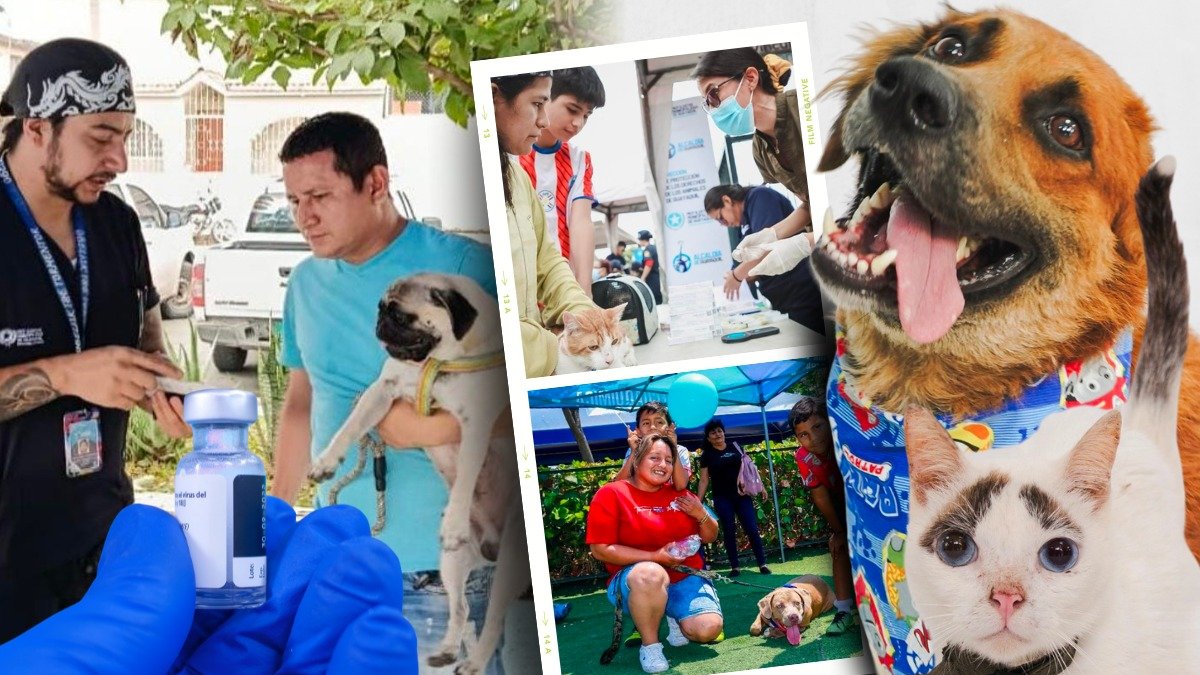 Hasta el próximo 27 de abril, en Guayaquil habrá jornadas de atención veterinaria gratuita para perros y gatos en distintos sectores de la ciudad. La adopción de mascotas se hará presente.