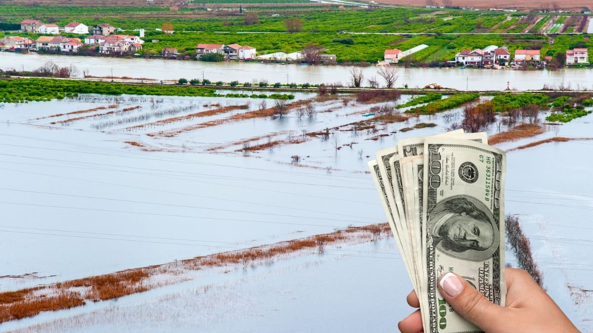 El Bono Incentivo Emprende está dirigido también para quienes han sido afectados por el temporal invernal.