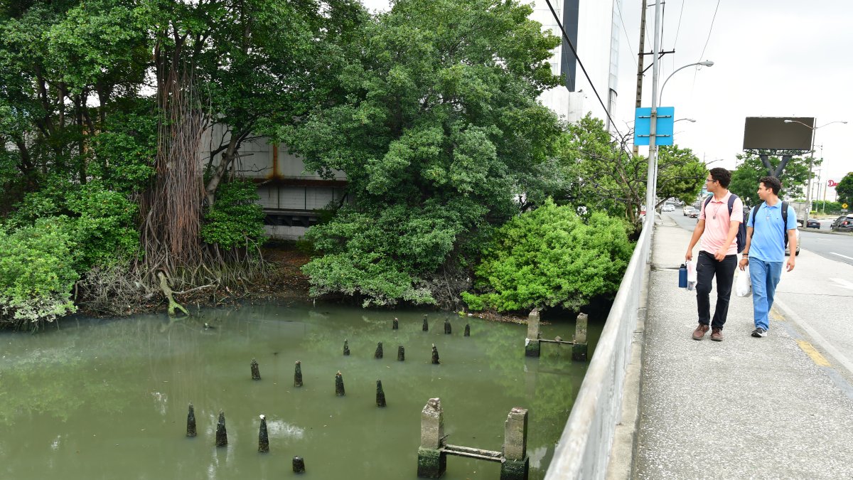 La actividad humana es el principal contaminante.