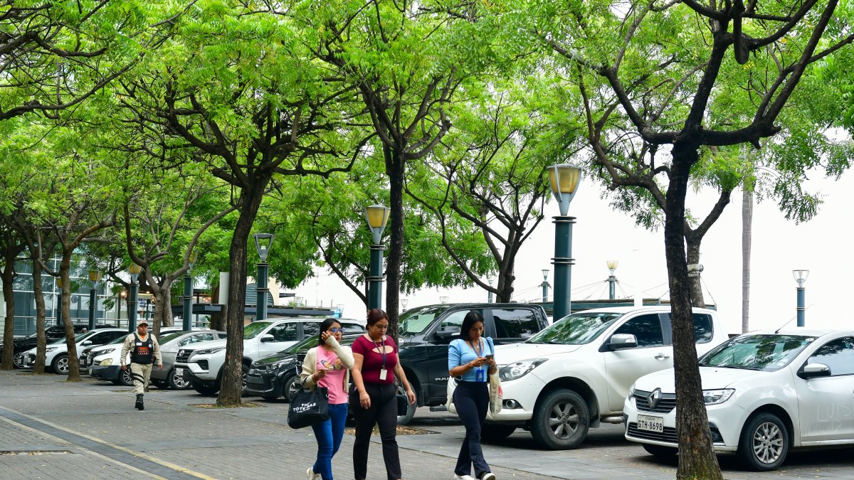 Puerto Santa Ana es una zona comercial y turística donde continúa la construcción de edificios.