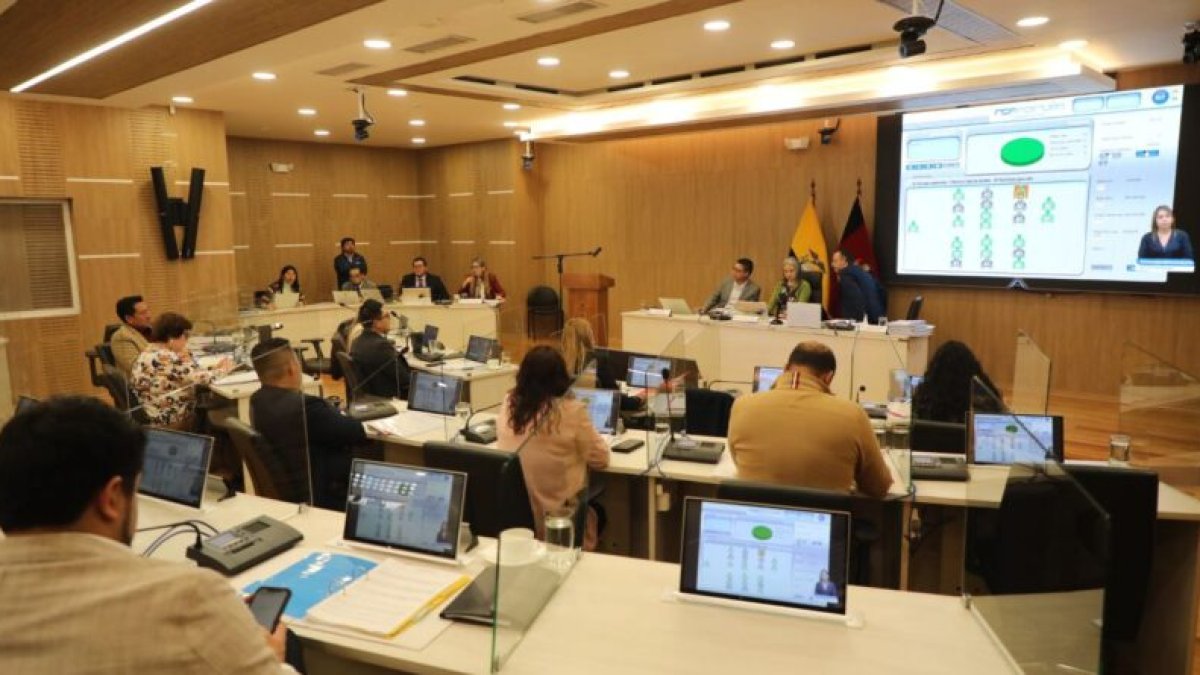 La sesión del 29 de abril la presidió la vicealcaldesa. Pabel Muñoz no asistió al Concejo.