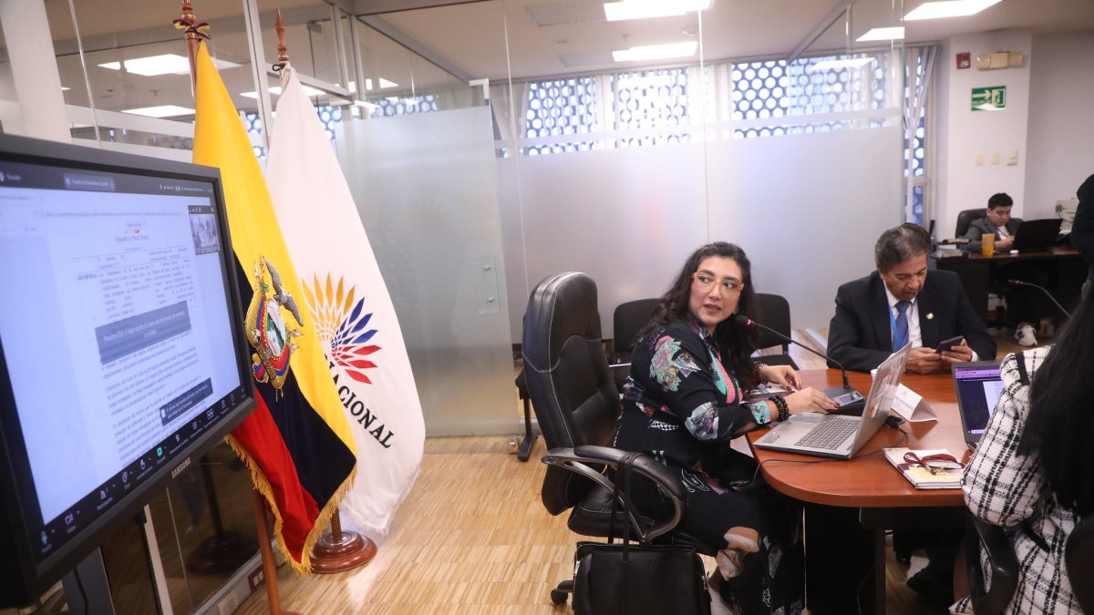 La correísta Gissela Garzón preside la mesa ocasional sobre la reforma de las bases militares extranjeras.