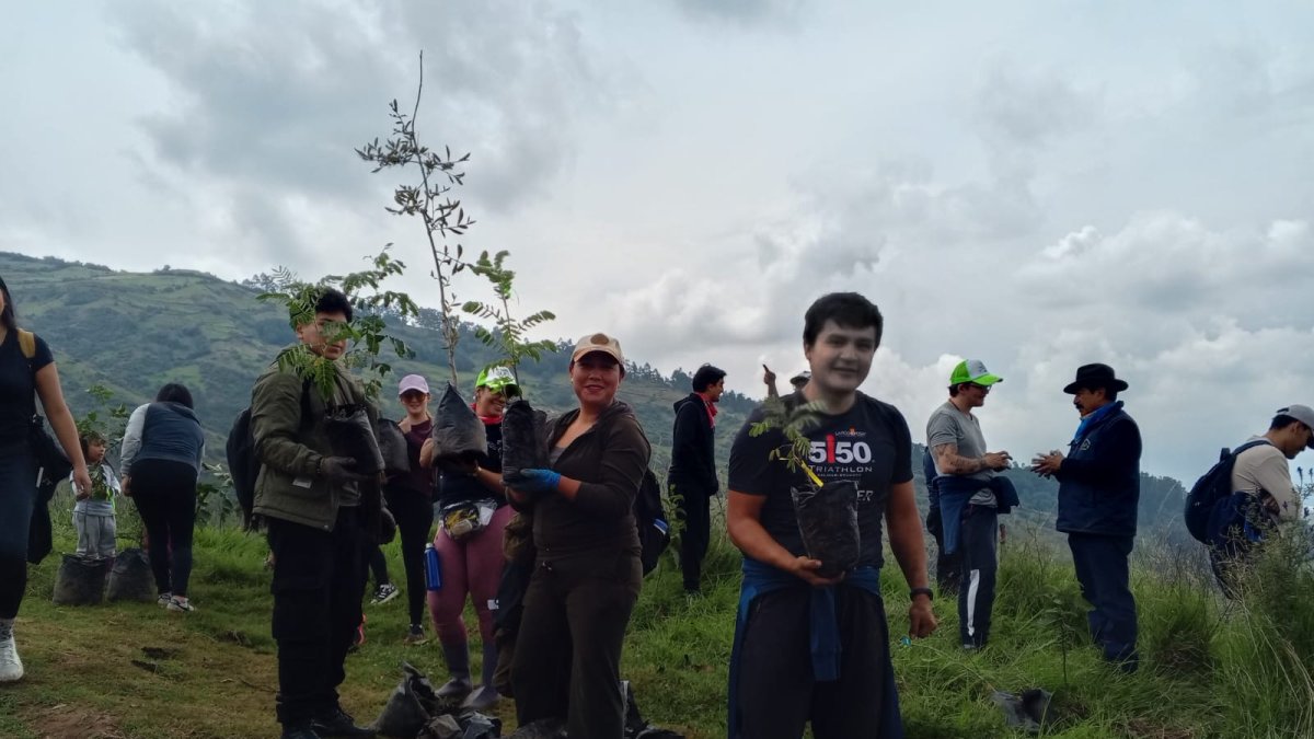 Actividad. Las personas prepararon el terreno para sembrar las plantas nativas en el cerro Ilaló