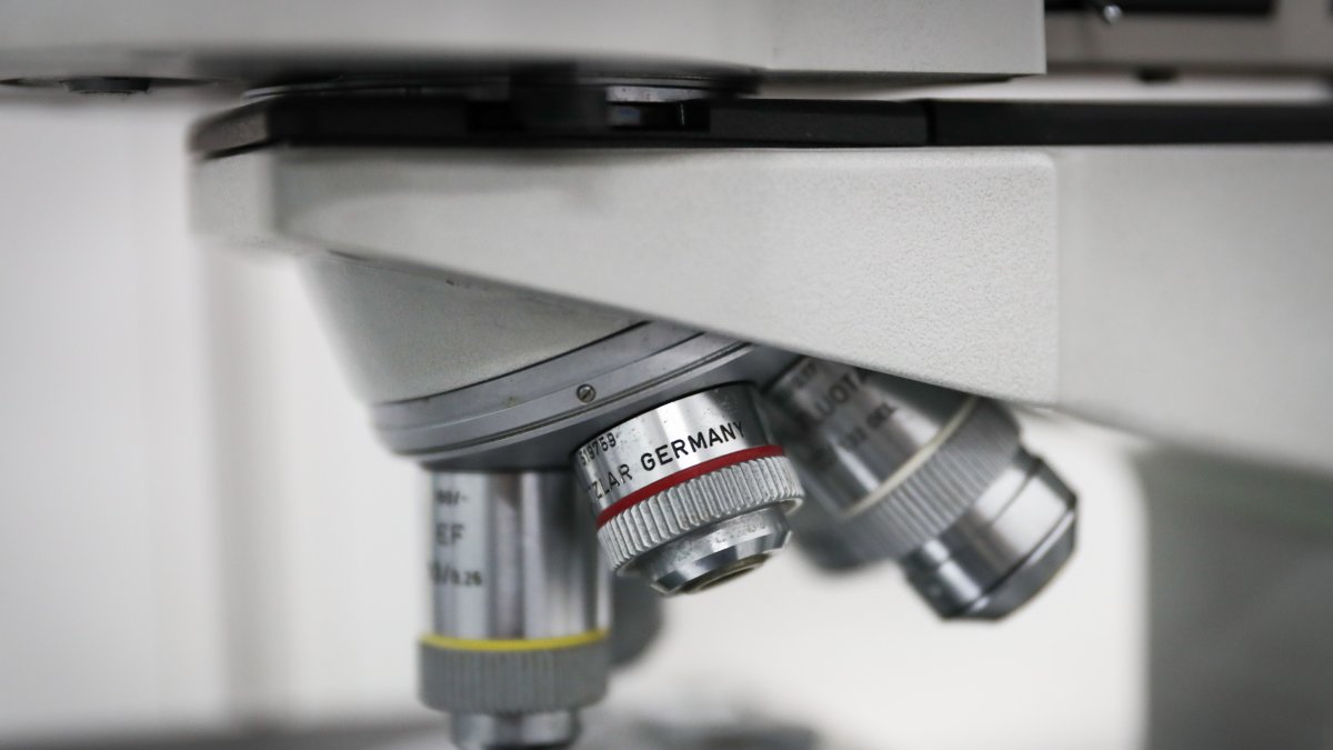 Vista de un microscopio, en una fotografía de archivo.