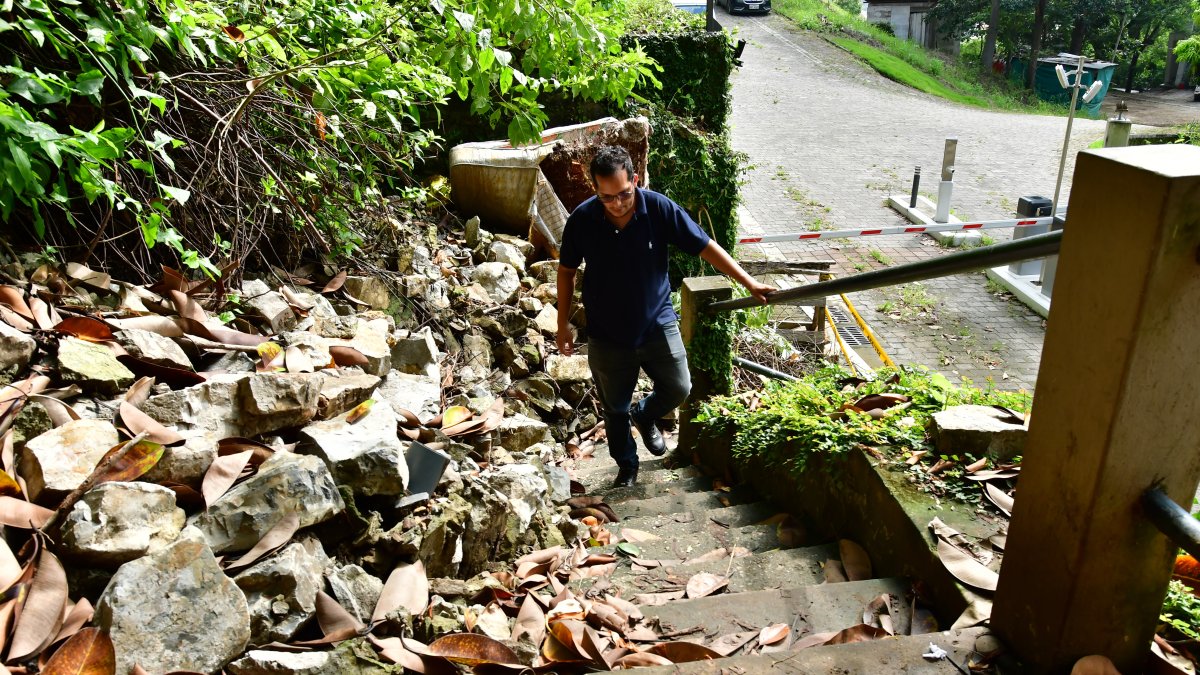 Un deslizamiento dejó obstruida una escalera por la que se accede al mirador del bosque protector de cerro El Paraíso.