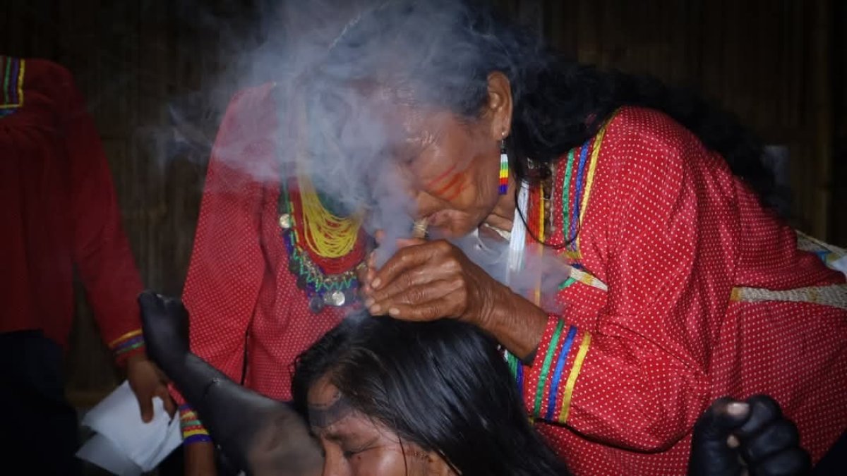 Curan. Las  sabias no solo atienden nacimientos, también curan el mal viento, limpian el espíritu con plantas  y acompañan en duelos.