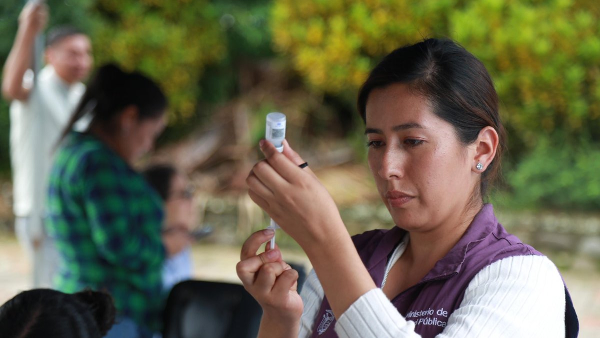El Ministerio de Salud anunció que habrá brigadas para vacunar contra la tosferina y la fiebre amarilla en los planteles de cuatro provincias.