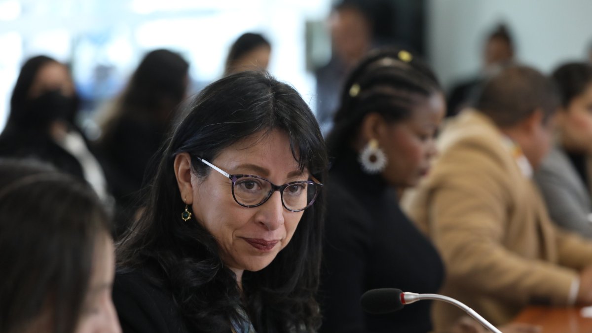 La vocal principal del Consejo de la Judicatura, Solanda Goyez.