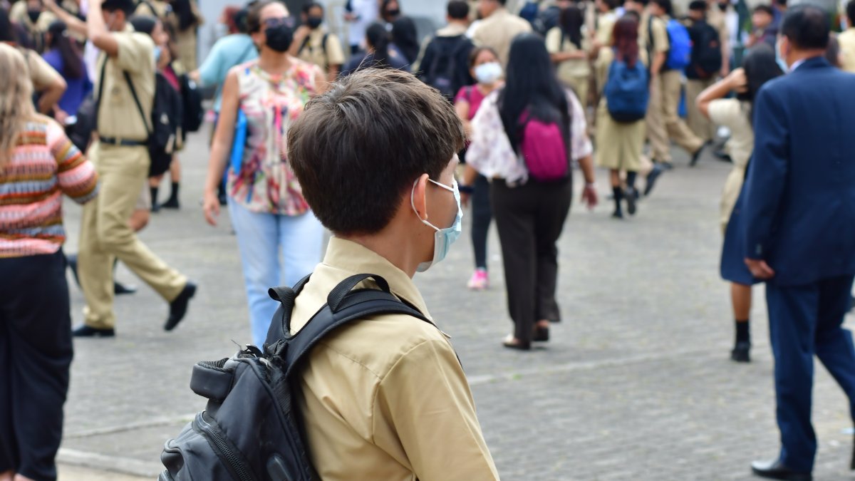 Según la UNE, la desvinculación de profesores de planteles públicos afecta a más de 2.000 instituciones.