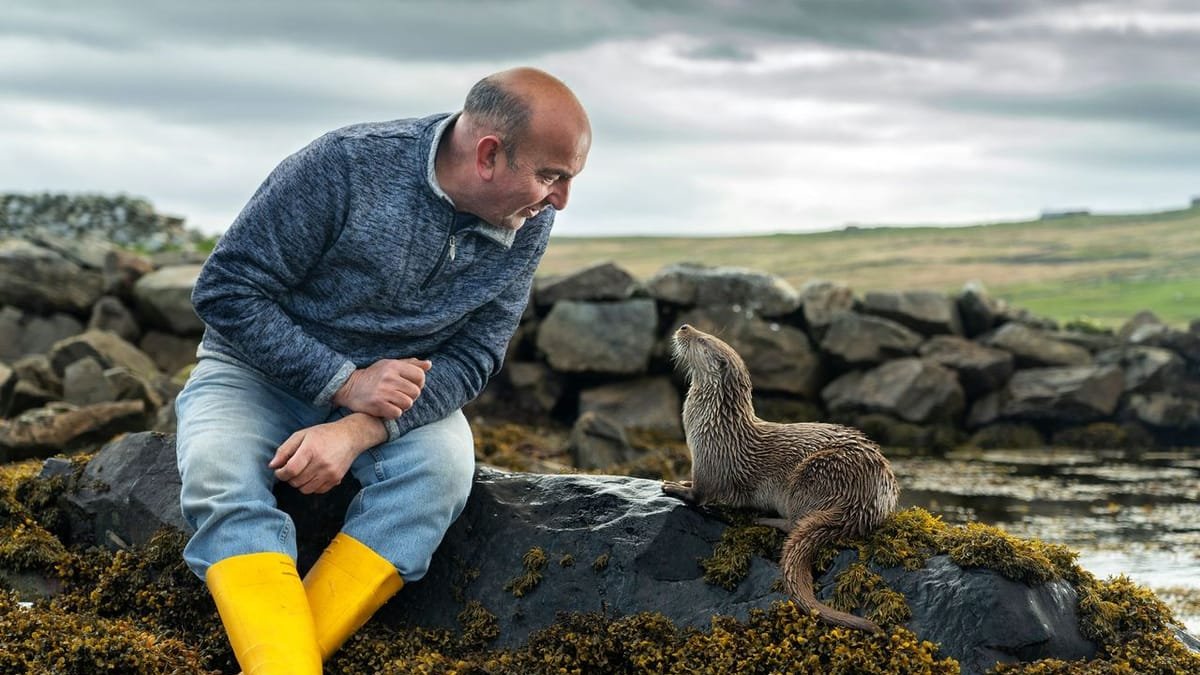 El festival de cine ambiental para la conservación de la biodiversidad. Imagen de la película “Billy & Molly: An Otter Love Story”, de National Geographic y Silverback
