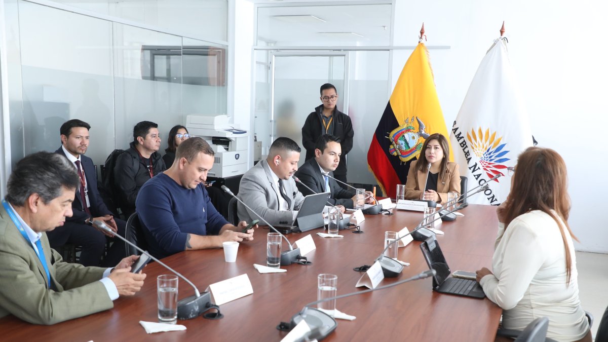 La Comisión de Seguridad es presidida por la asambleísta oficialista Inés Alarcón.