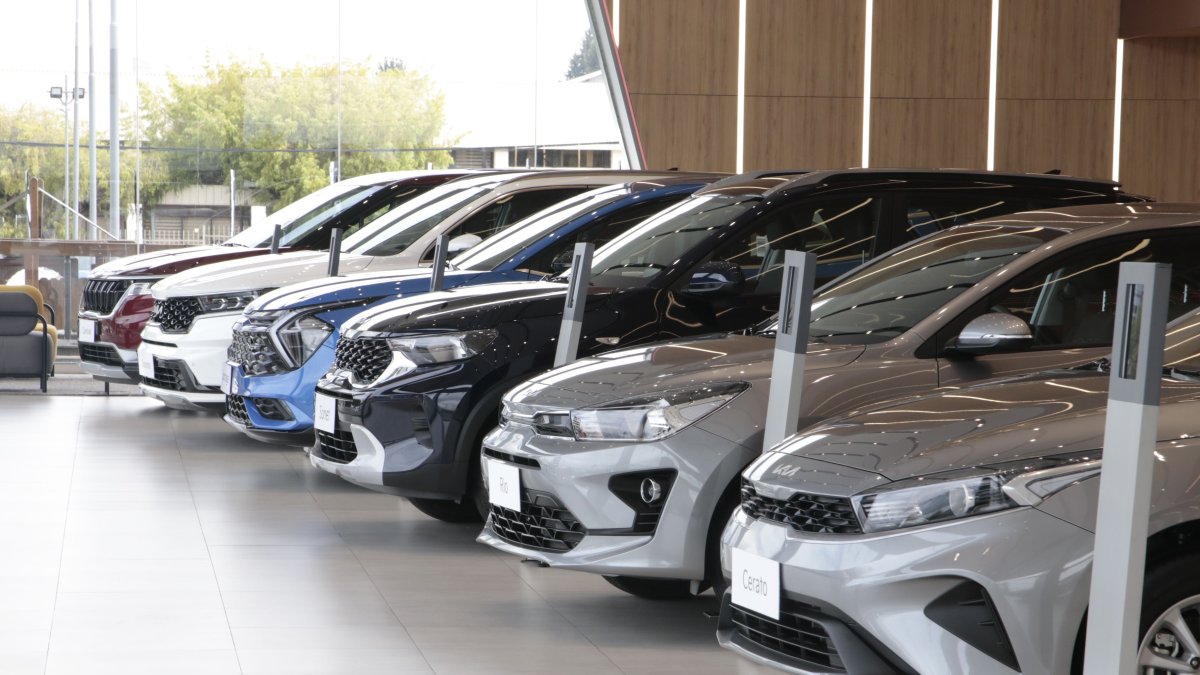 Kia lidera el mercado con el 16,36% de participación.