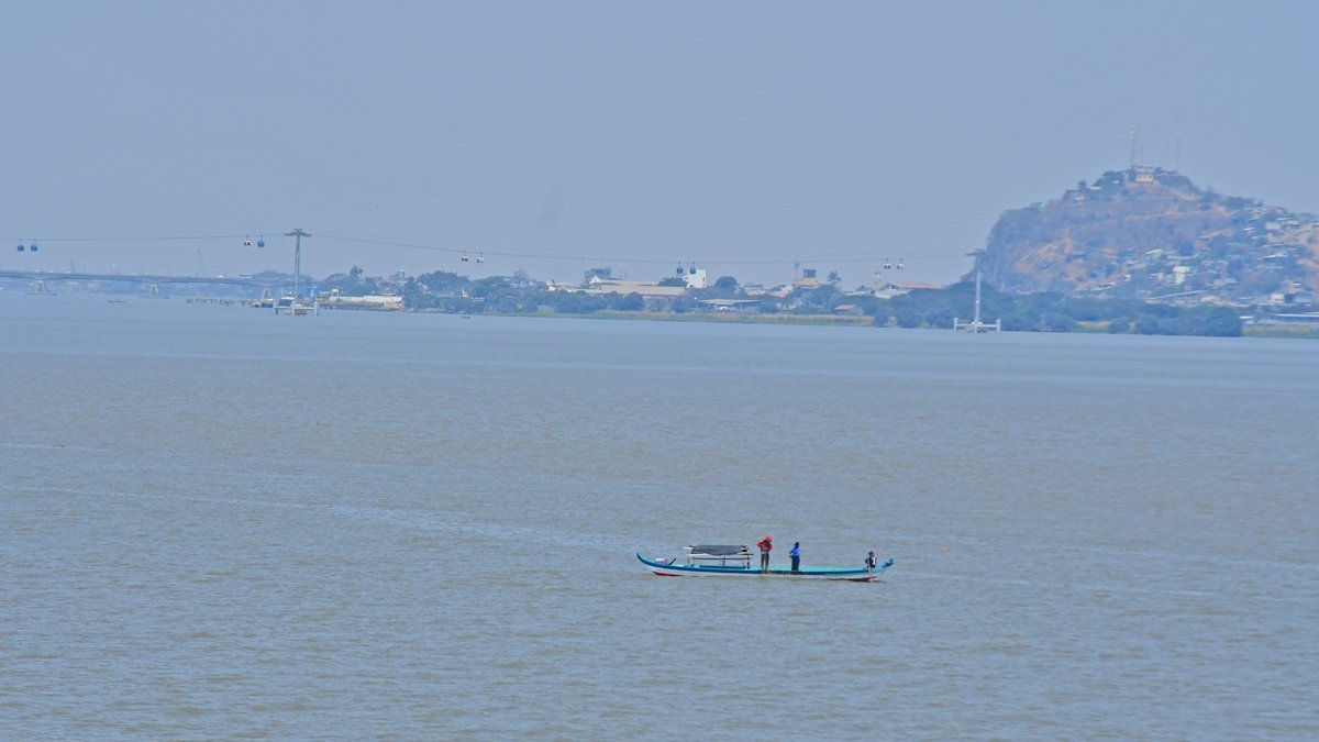 Hay proyectos para la navegabilidad en el río Guayas.