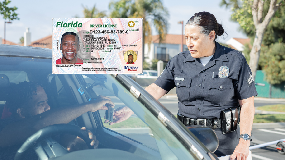 Inmigrantes en Florida enfrentarán renovaciones anuales de licencias