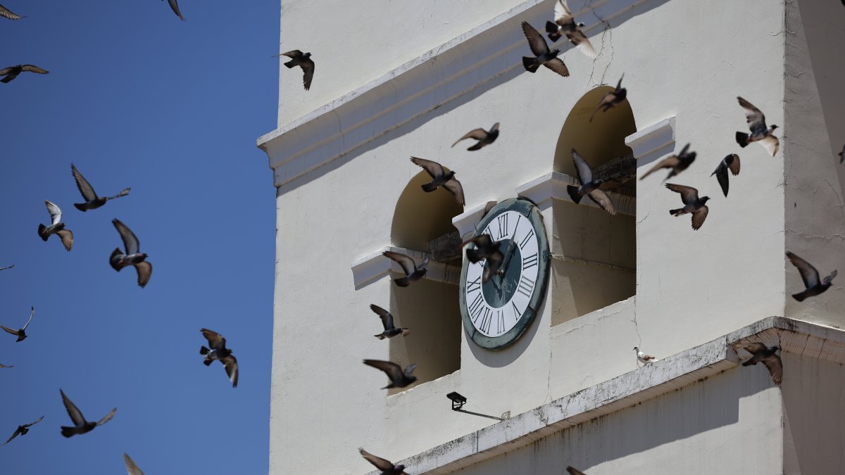 Fotografía del 11 de abril de 2025 de palomas volando frente al reloj de la catedral de la Inmaculada Concepción en Comayagua (Honduras).
