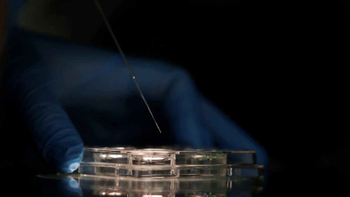 Personal técnico trabaja en una imagen de archivo en un laboratorio.