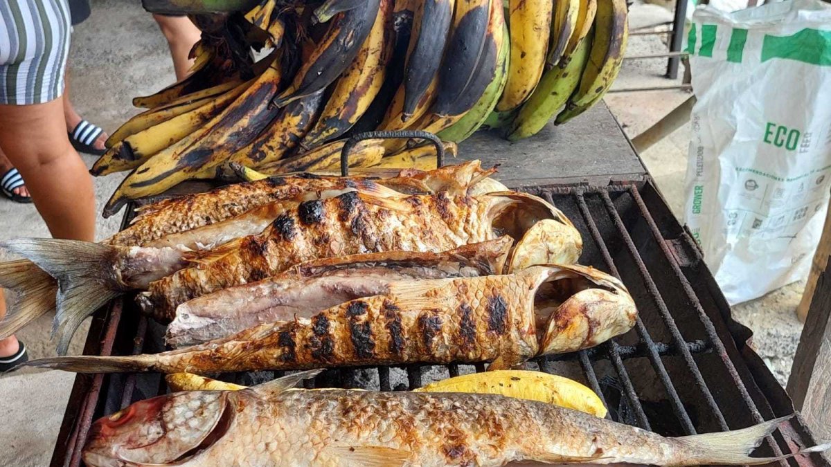 La lisa asada al carbón, marinada con un aliño molido a mano como en los tiempos de las abuelas, una delicia que atrae al turismo en El Morro.-