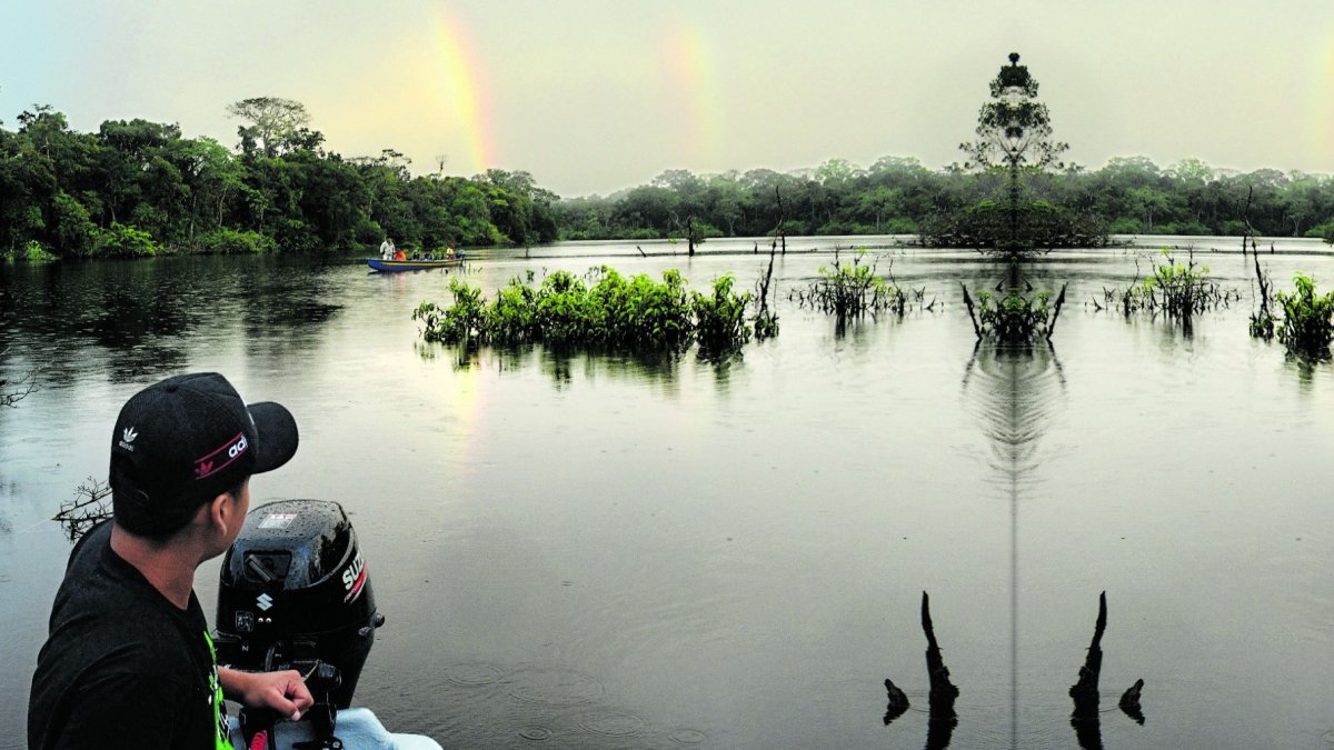 Naturaleza. Yasuní es una de las reservas ecológicas más biodiversas que tiene el país. Está en la Amazonía.