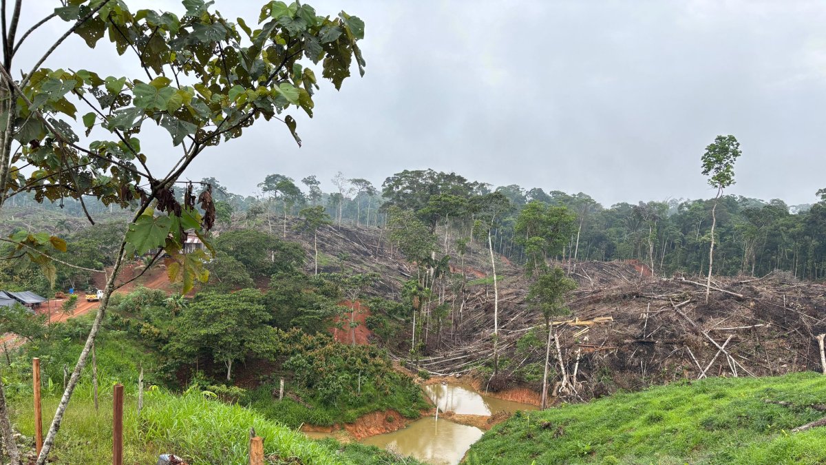 Efectos de minería ilegal en Orellana. Imagen referencial de una zona afectada por esa problemática.