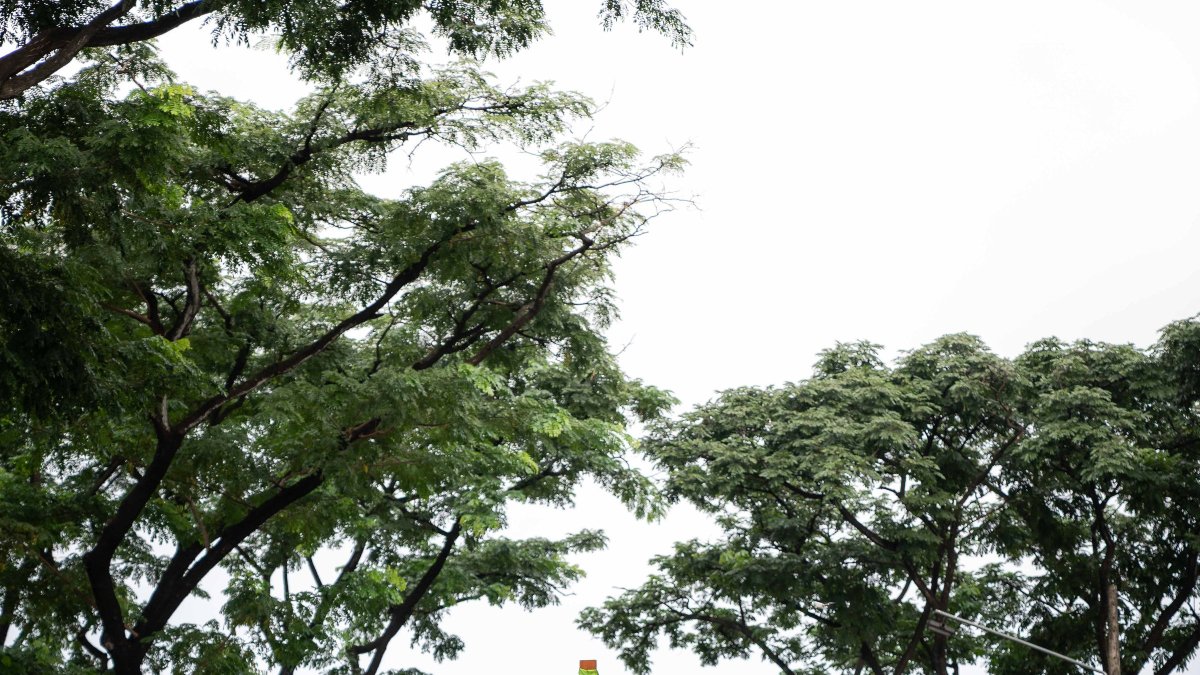 Cientos de fieles se congregaron por la Virgen.