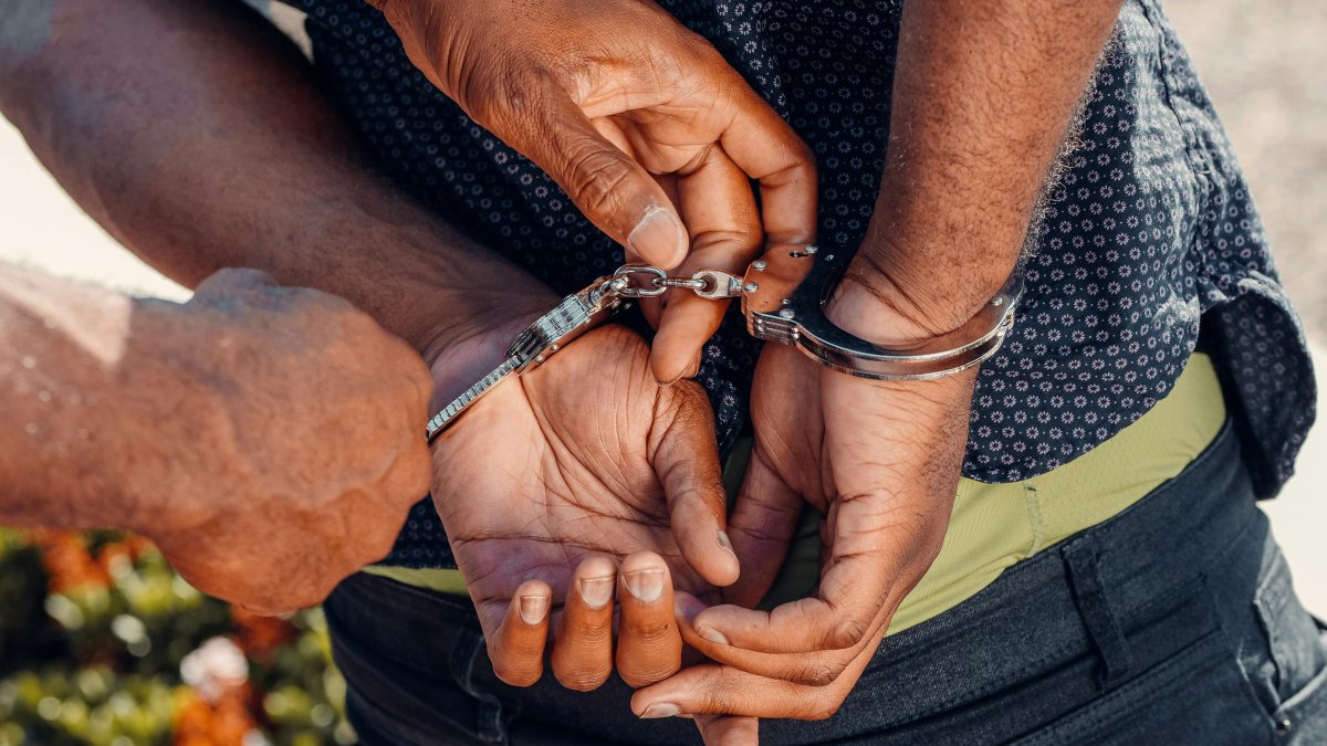 Entre las aves rescatadas había Pixoxó, especie en peligro; el detenido podría pagar una multa de $123.000