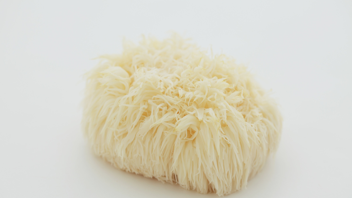 Este hongo es considerado como un posible aliado en la lucha contra el deterioro cognitivo.