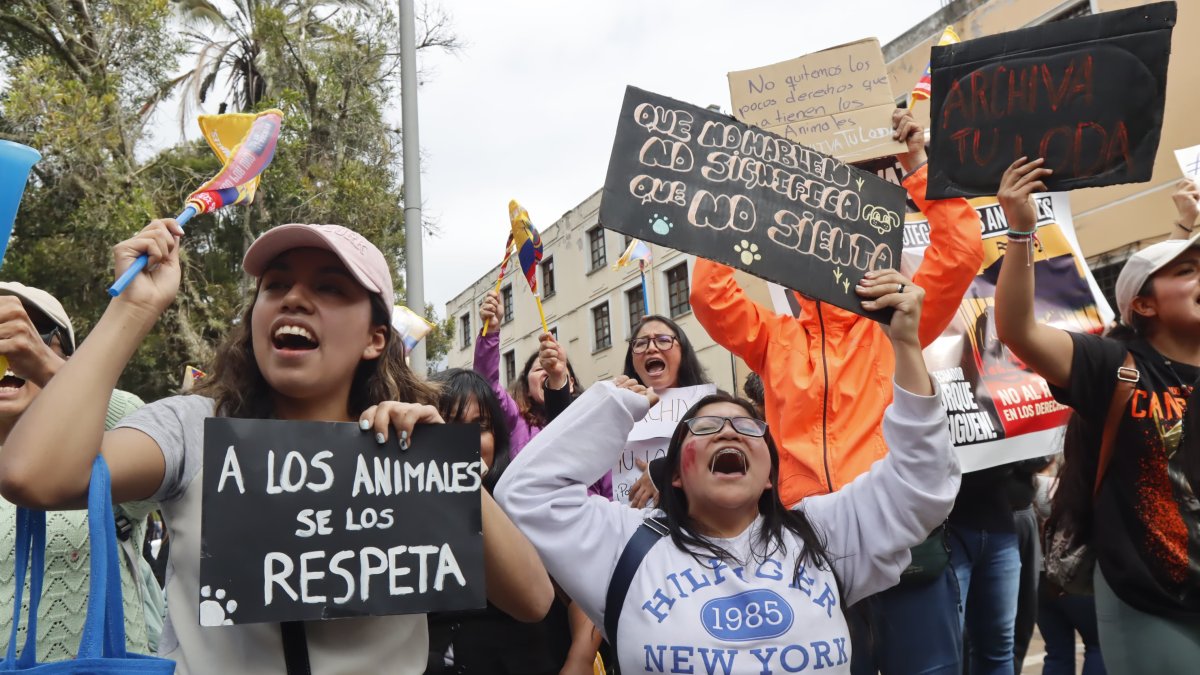 Activistas y colectivos animalistas realizaron un plantón en los exteriores de la Asamblea previo al tratamiento de segundo debate en el pleno sobre la Ley Loda