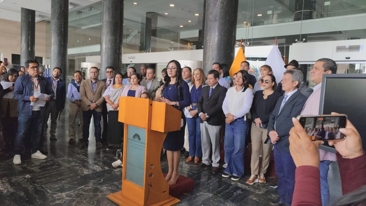 Asambleísta del correísmo, Viviana Veloz.