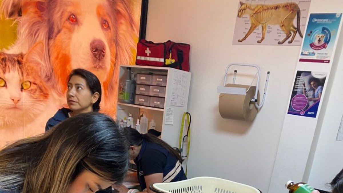 La veterinaria tenía en stock fármacos vencidos desde 2024, incluyendo medicamentos de uso humano.