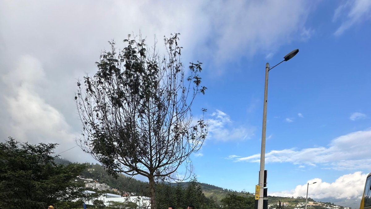 Moradores de Tumbaco exigen obras en la vía Gaspar de Carvajal, realizaron un cierre en la vía para protestar.