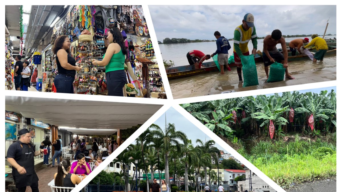 Expectativas. Los gremios empresariales y el sector productor esperan reformas económicas legales.