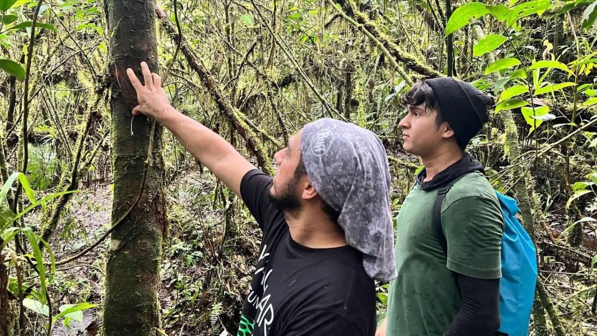 ONG. La Fundación Yaguar trabaja en la Amazonía para cuidar y preservar el hábitat del jaguar ecuatoriano.