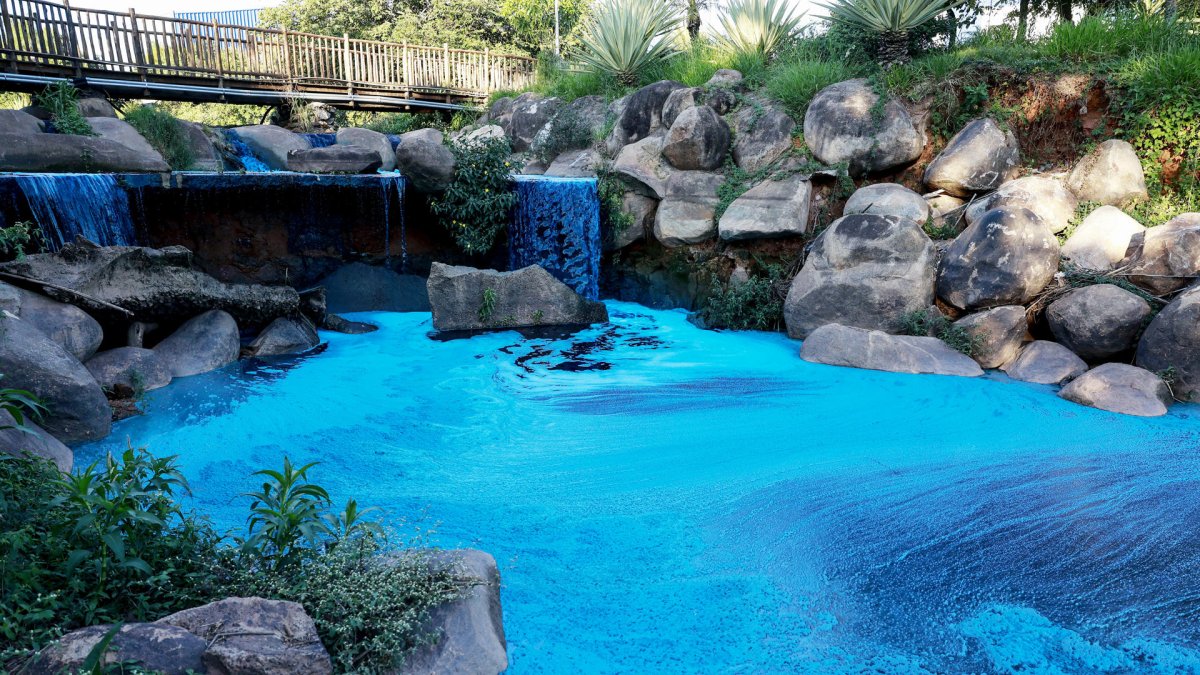 Lago de las Tulipas del Jardín Botánico este miércoles, en el Lago de las Tulipas del Jardín Botánico en Jundiaí (Brasil).