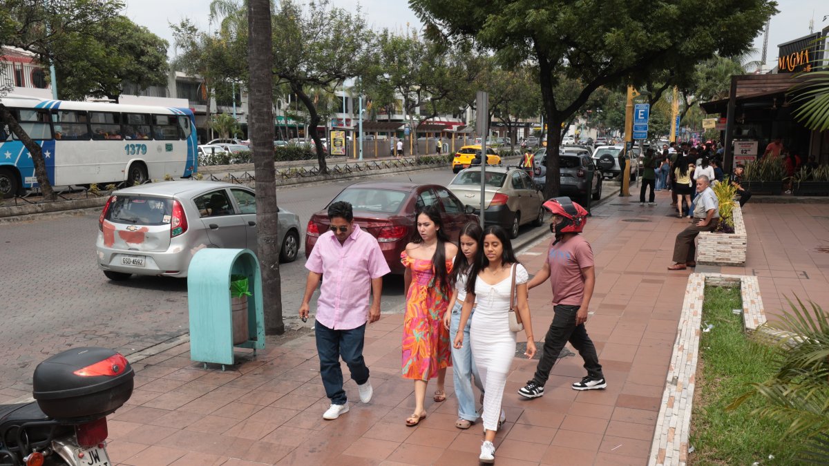 Arterias principales de la ciudadela serán peatonlales