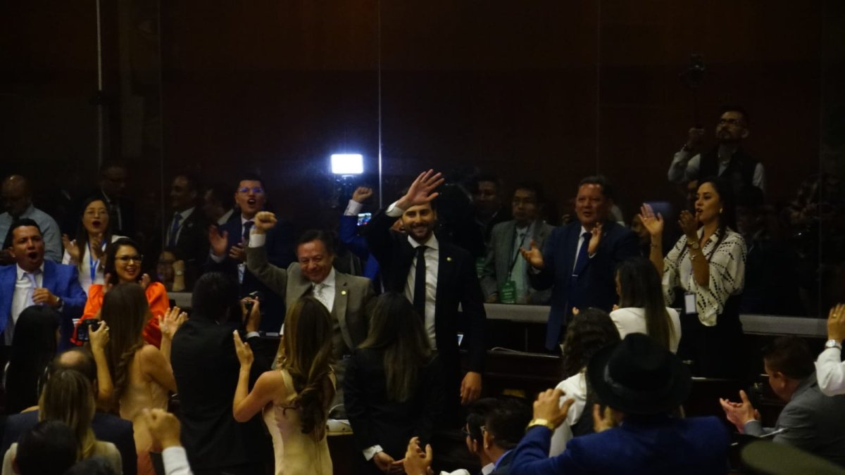 El asambleísta del oficialismo Niels Olsen preside la Asamblea Nacional.