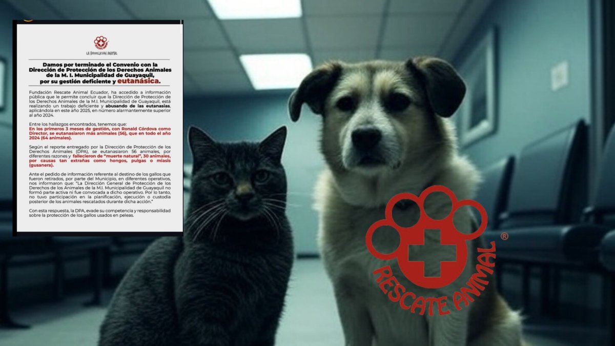 La entidad emitió un comunicado anunciando el finiquito del convenio.