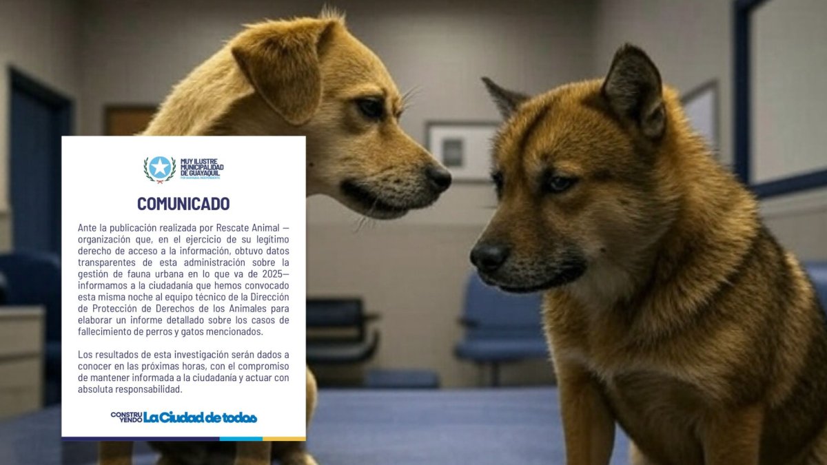 El Municipio se pronunció ante la denuncia de Rescate Animal