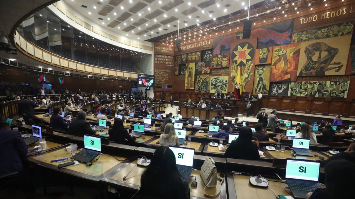 La Asamblea Nacional tiene 30 días para tratar el proyecto.